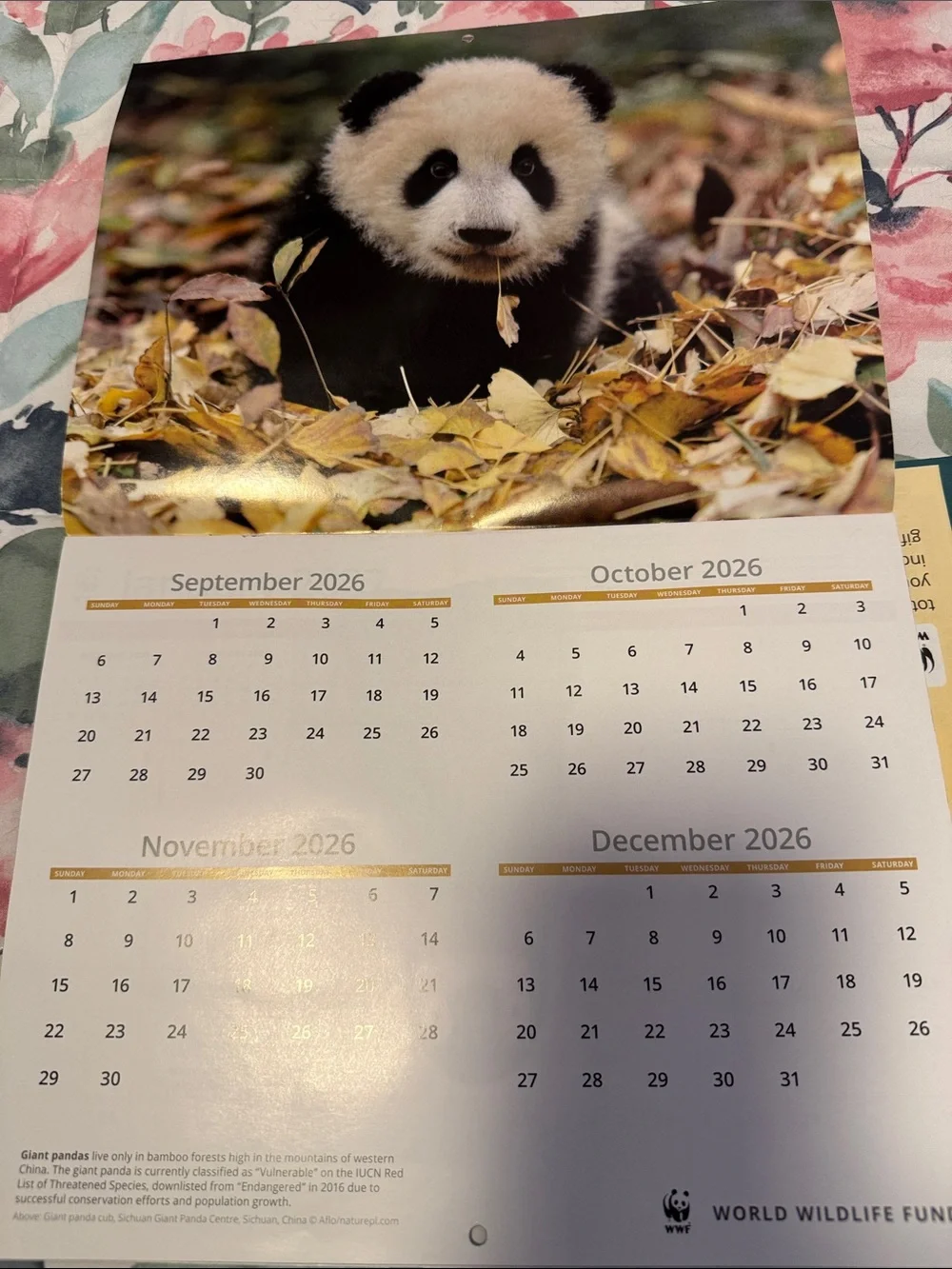 16 month Calendar.  2027